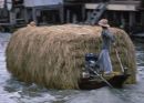 Transporting Hay, Floating Market, Bangkok